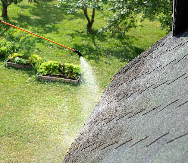 entretien demoussage de toiture à Trouy près de Bourges dans le Cher 18