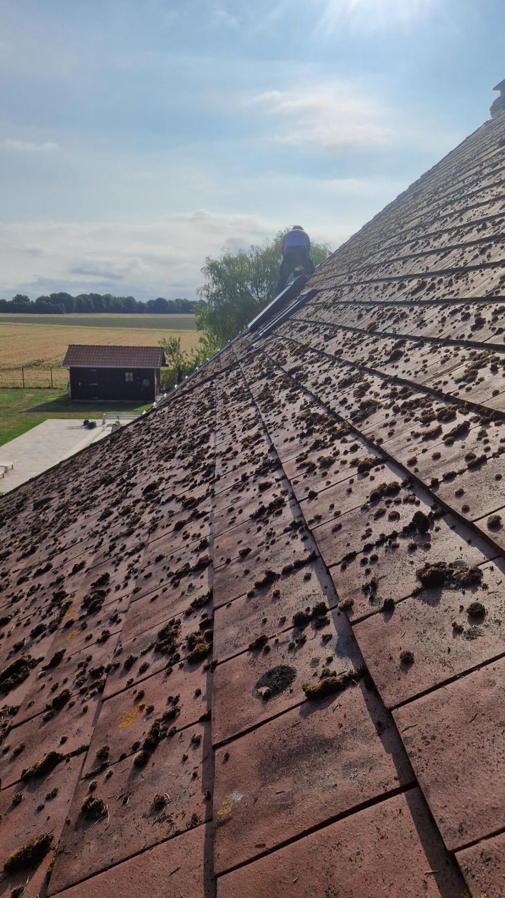 Démoussage Champfrost