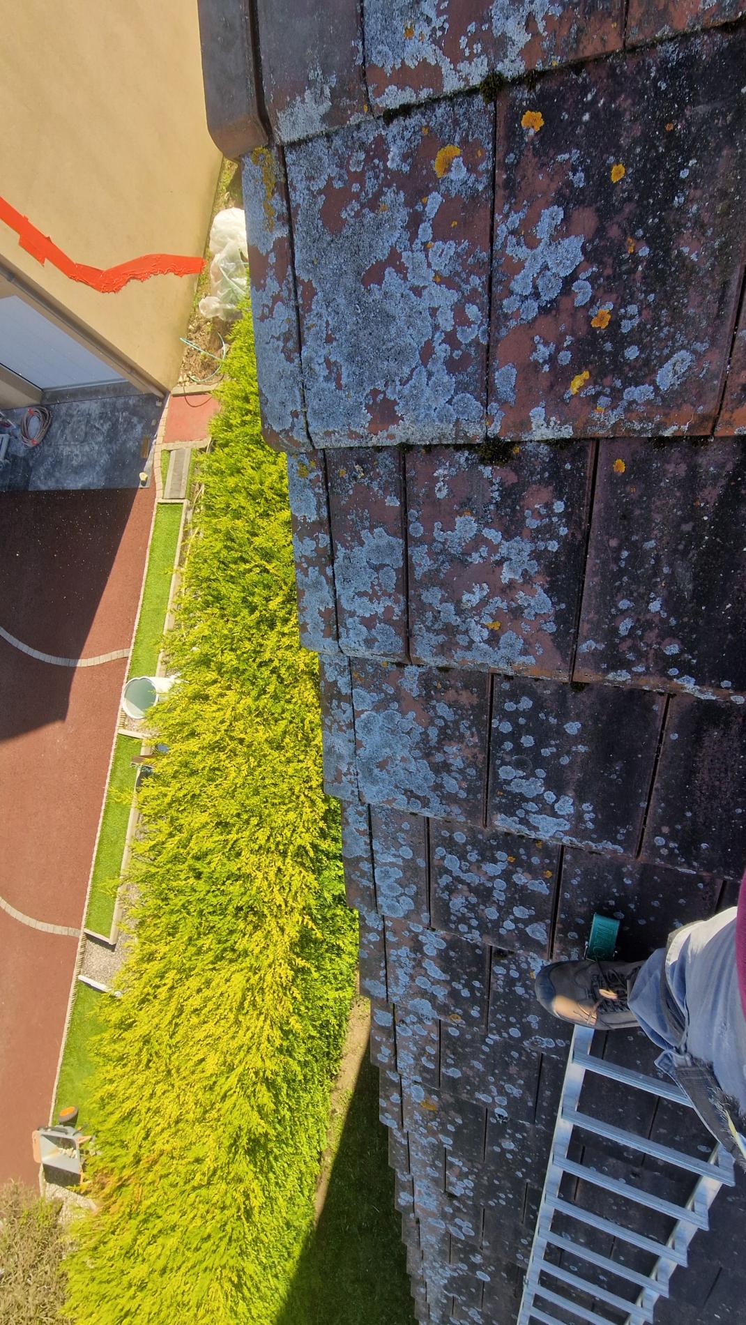 Démoussage et zinguerie Marmagne